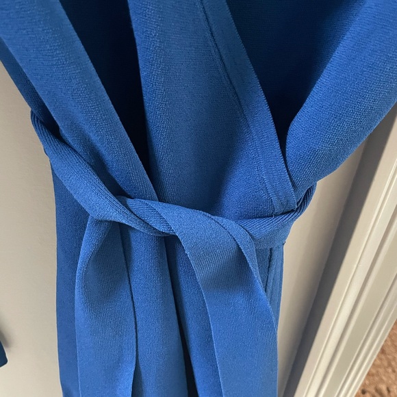 DVF classic wrap dress- gorgeous color! - Picture 2 of 8